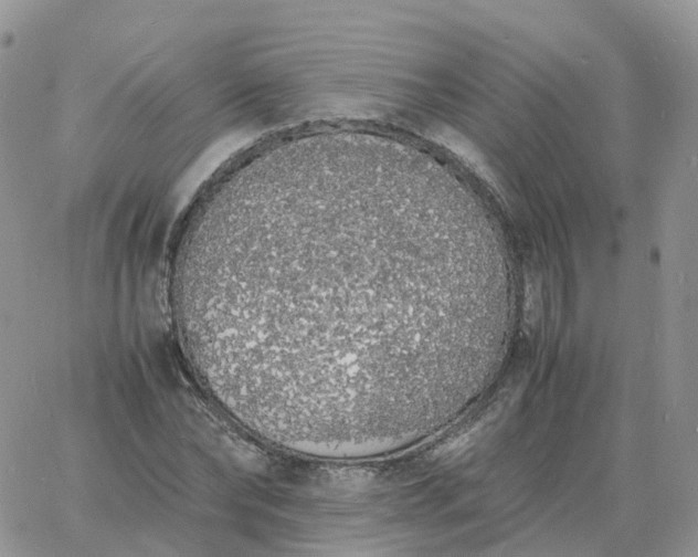 X0000060770878200511241751