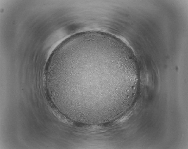 X0000060770879200511241751