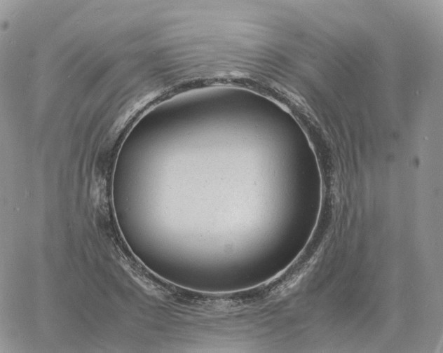 X0000060770881200511241751