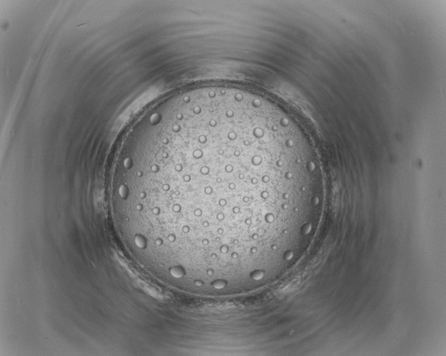 X0000060770882200511241751