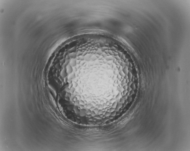 X0000060770883200511241751