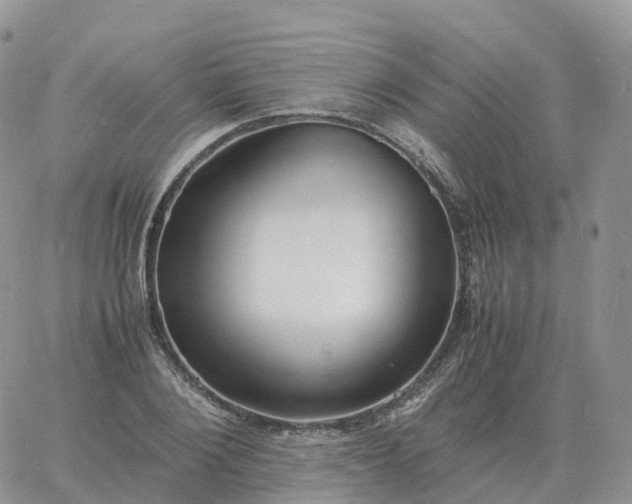 X0000060770884200511241751