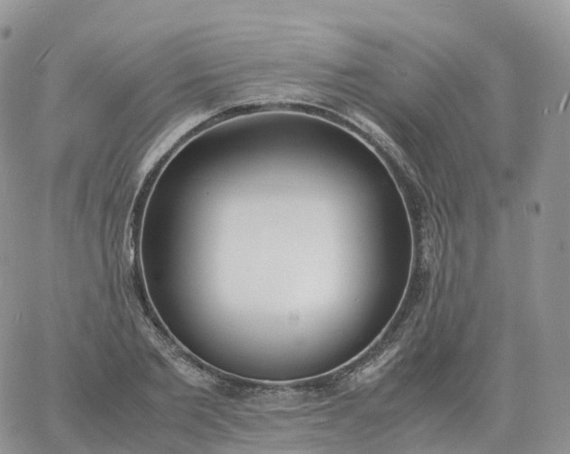 X0000060770885200511241751