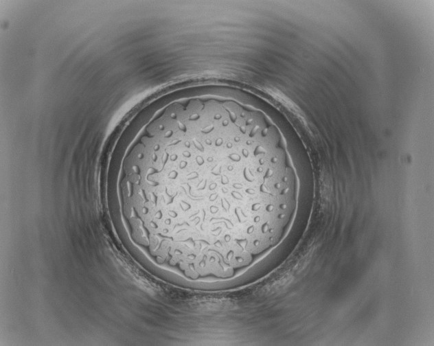 X0000060770886200511241751