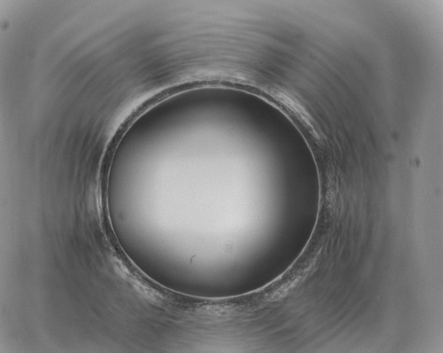 X0000060770888200511241751