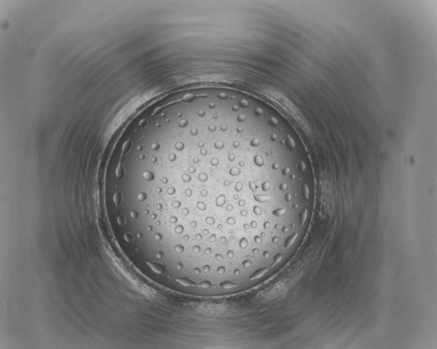 X0000060770890200511241751