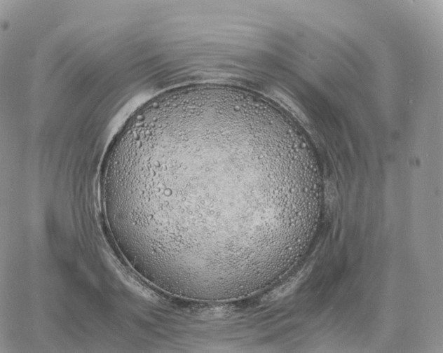 X0000060770891200511241751