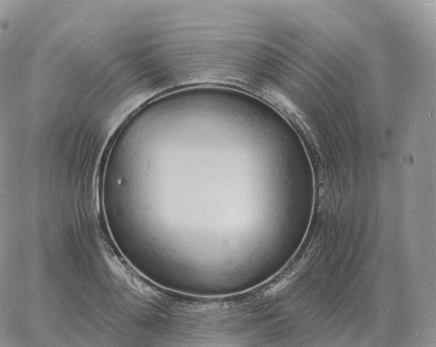 X0000060770892200511241751