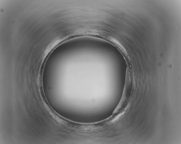 X0000060770893200511241751