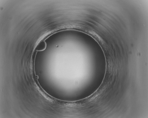 X0000060770894200511241751