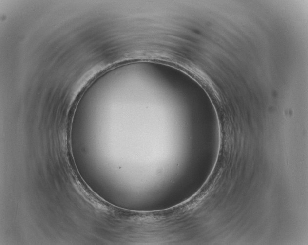 X0000060770896200511241751