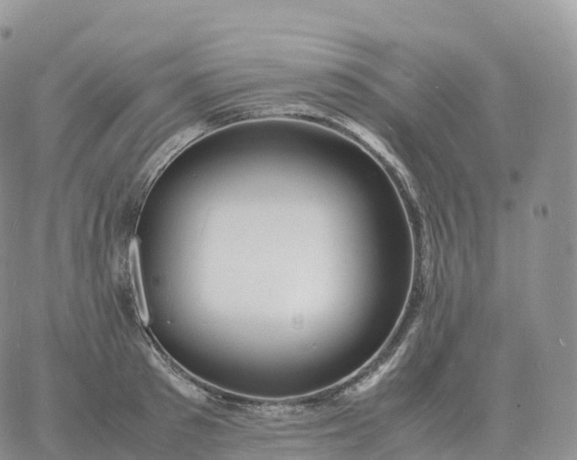 X0000060770897200511241751