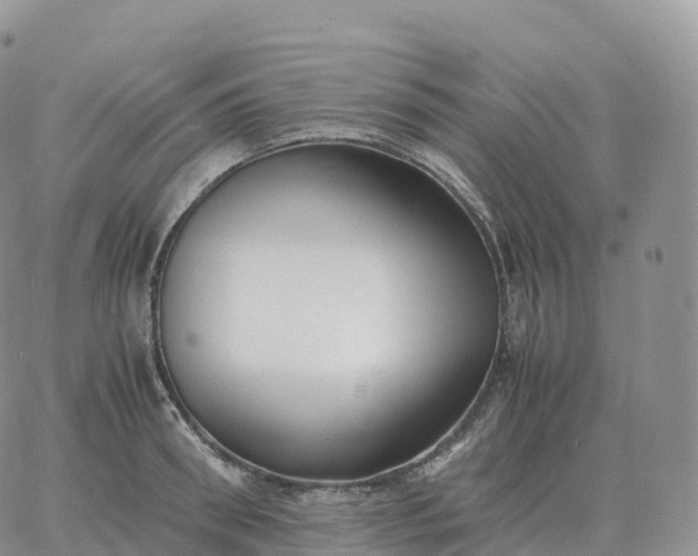 X0000060770898200511241751