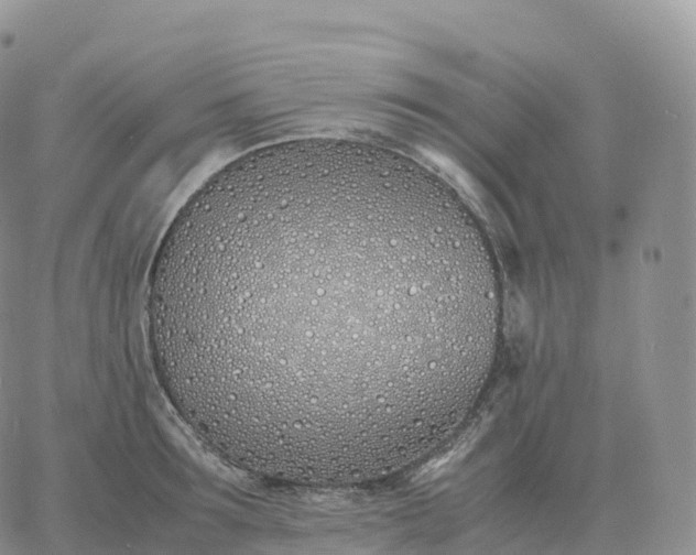 X0000060770899200511241751