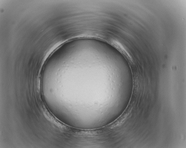 X0000060770900200511241750