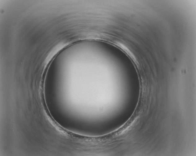 X0000060770901200511241750