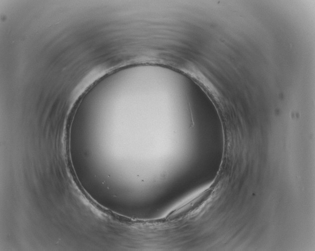 X0000060770902200511241750