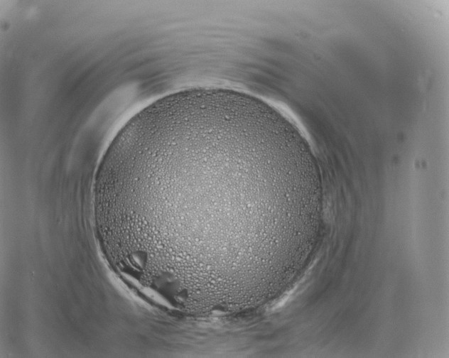 X0000060770903200511241750