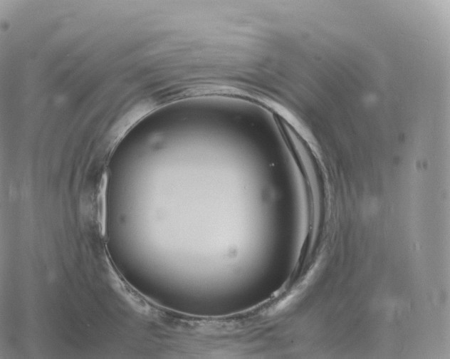 X0000060770905200511241750