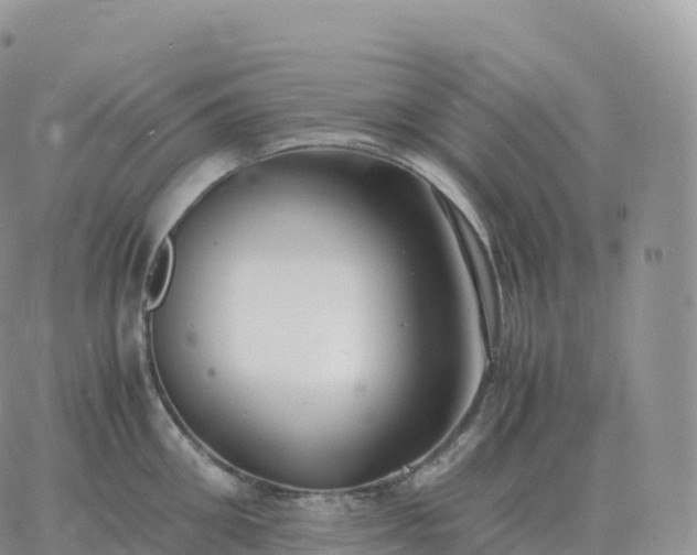 X0000060770906200511241750