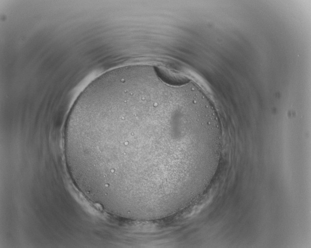 X0000060770907200511241750