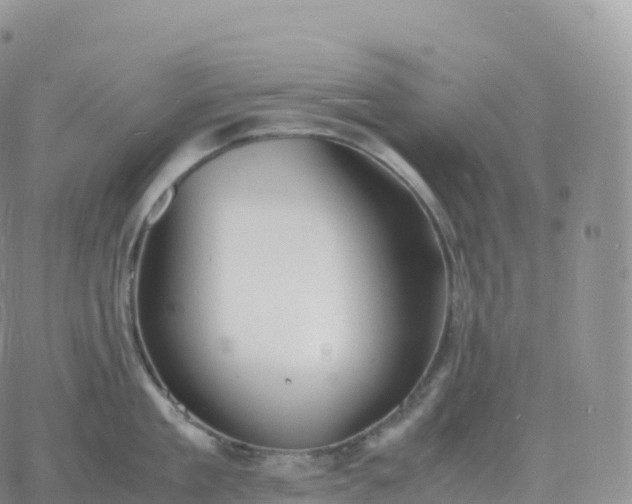 X0000060770909200511241750