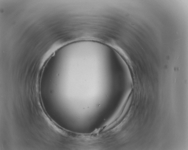 X0000060770910200511241750