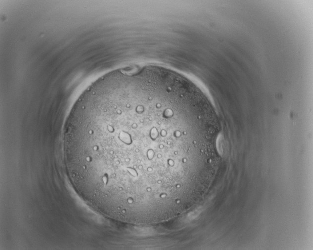 X0000060770911200511241750