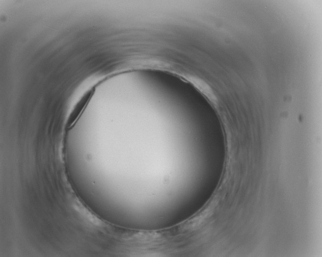 X0000060770912200511241750