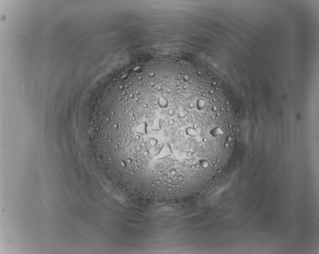 X0000060770913200511241750