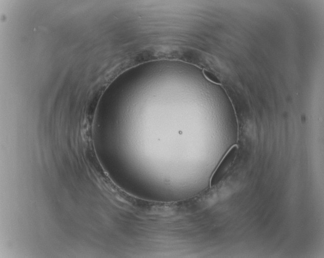 X0000060770914200511241750