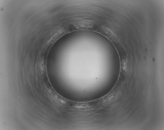 X0000060770915200511241750