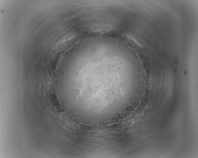 X0000060770917200511241750