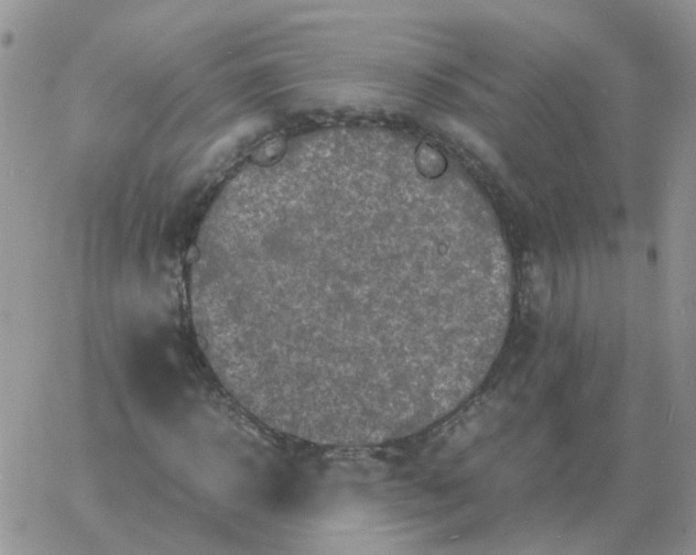 X0000060770918200511241750