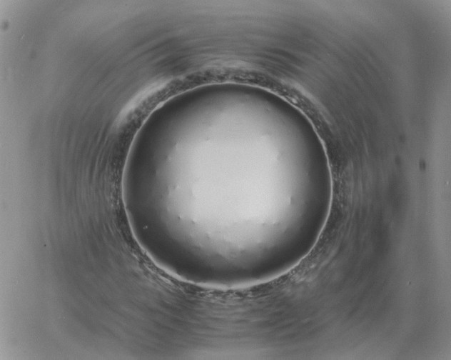 X0000060770919200511241750