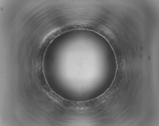 X0000060770920200511241750