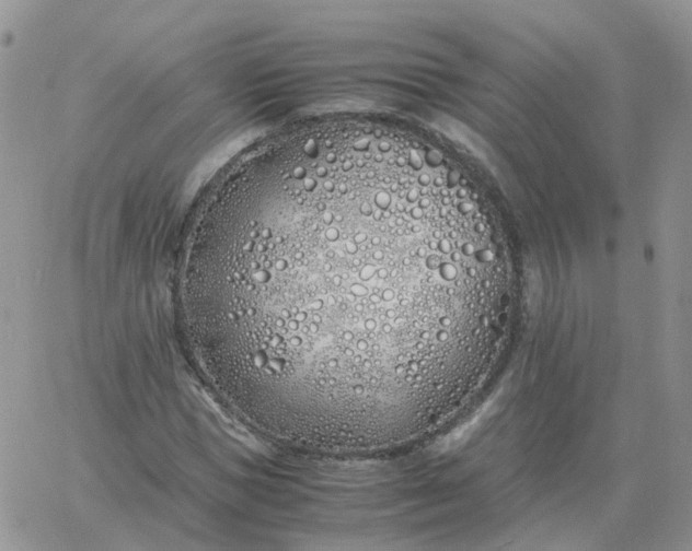 X0000060770921200511241750