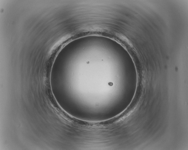 X0000060770922200511241750