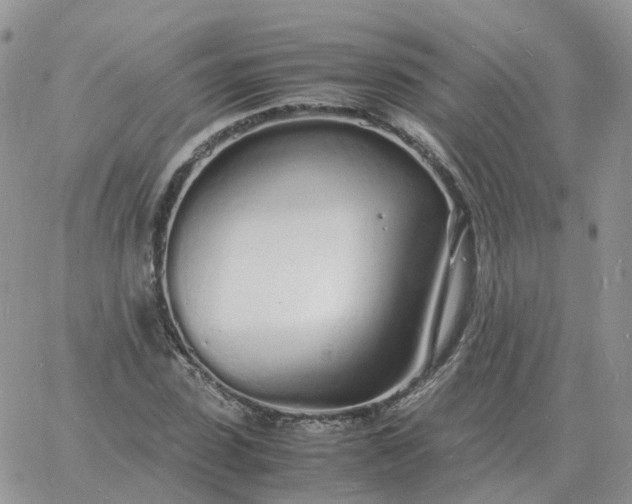 X0000060770923200511241750