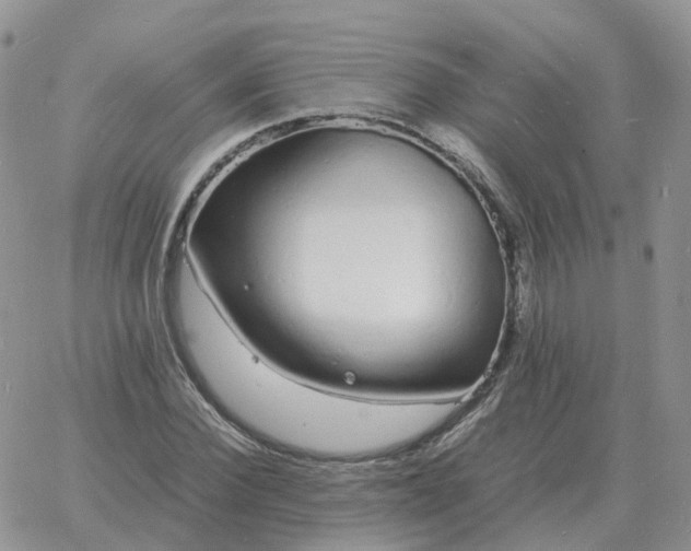 X0000060770924200511241750