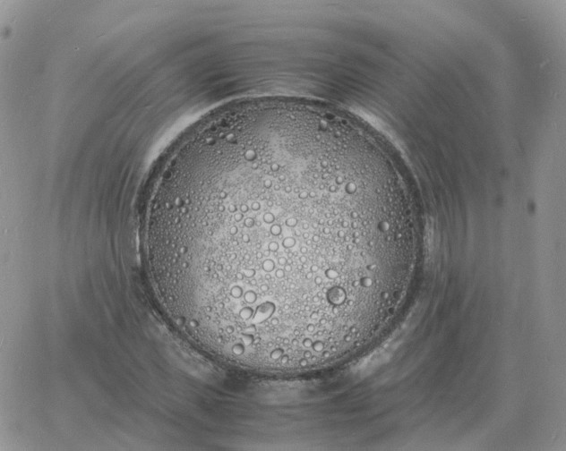 X0000060770925200511241750