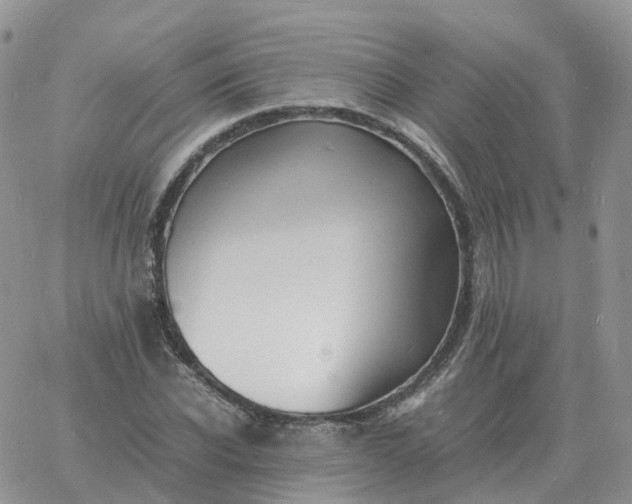 X0000060770926200511241750