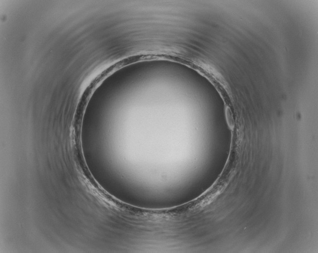 X0000060770928200511241750