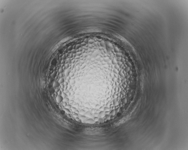 X0000060770929200511241750