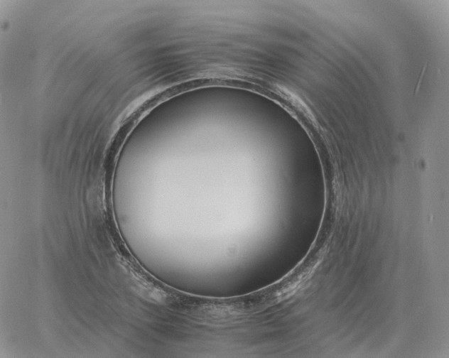 X0000060770931200511241750