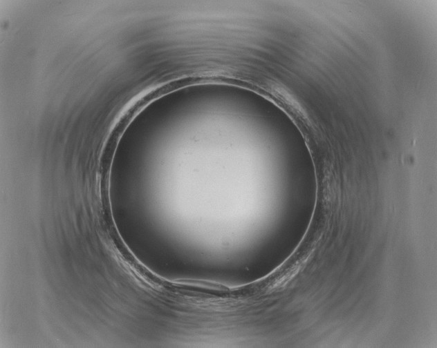 X0000060770932200511241750