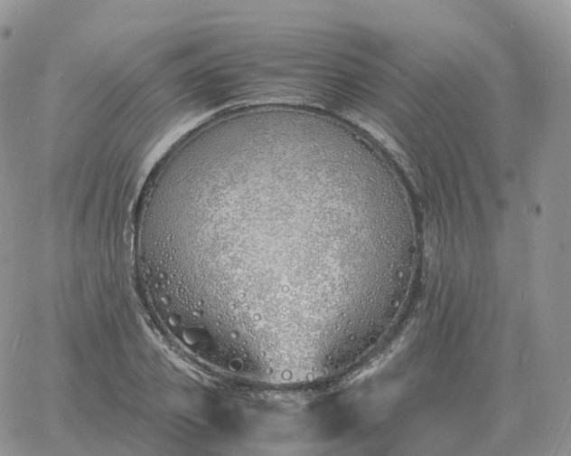 X0000060770933200511241750