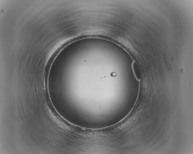 X0000060770934200511241750