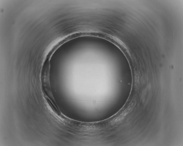 X0000060770935200511241750