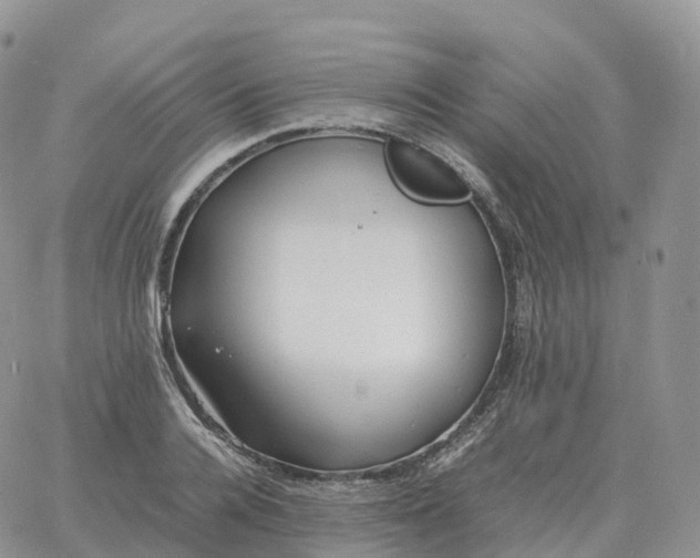 X0000060770936200511241750